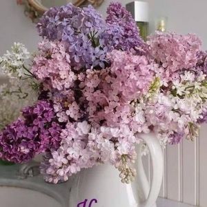 Meet your Posher, Renee